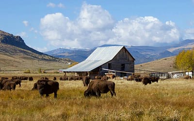 The Fourth Quarter: Why the Most Exciting Chapter of Your Ranch Legacy Begins Near the End