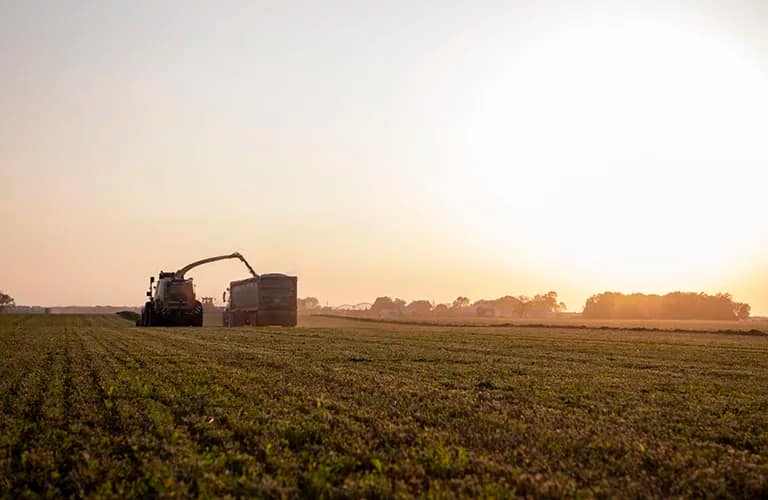 hay_13_2019 Chopping hay as the sun sets