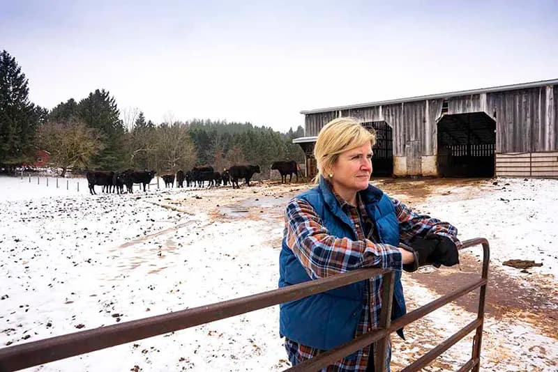 farmer leaning on fence with cattle in the background