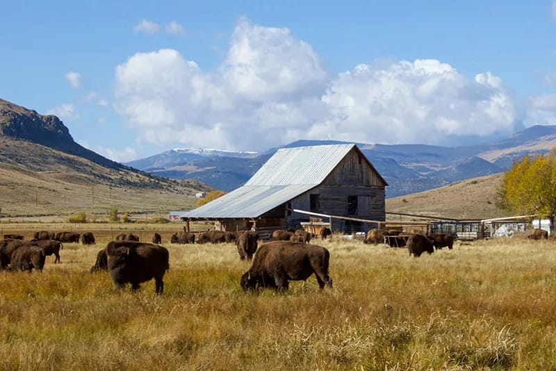 The Fourth Quarter: Why the Most Exciting Chapter of Your Ranch Legacy Begins Near the End