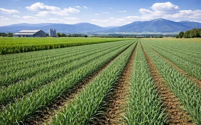 First Generation Farmer Shares How He Found His Way To Success