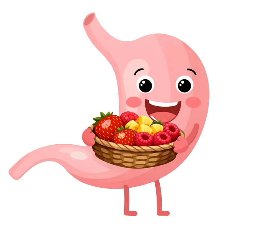 A happy stomach with a basket of fruit
